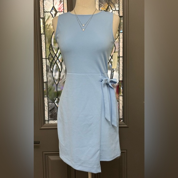 NWT Tash+Sophie Elegant Blue Sleeveless Dress - Picture 1 of 10